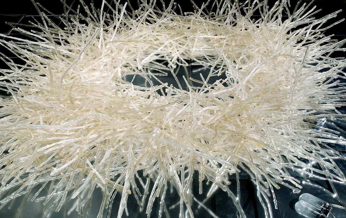 blog josely nidus vitreo 2