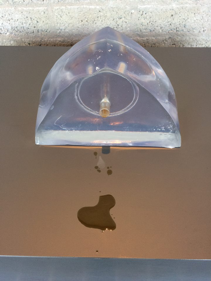 esther brakenhoff smell capsule 2015